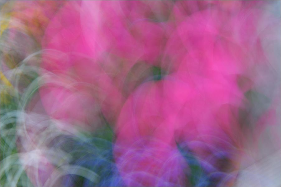 Astratto Fiori
