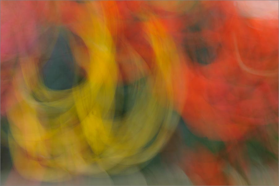 Astratto Fiori