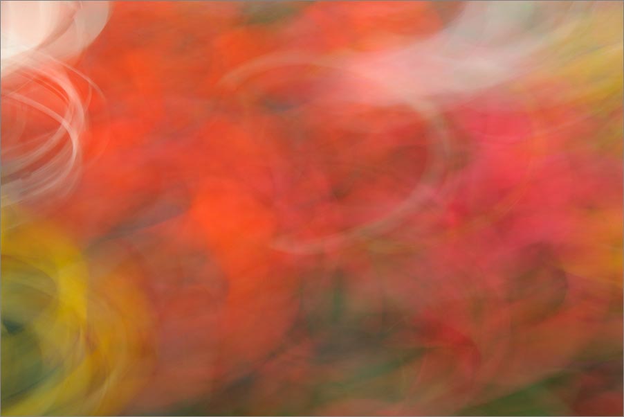 Astratto Fiori
