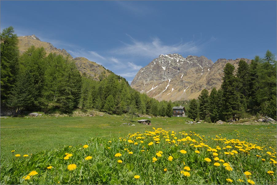 Val Viola