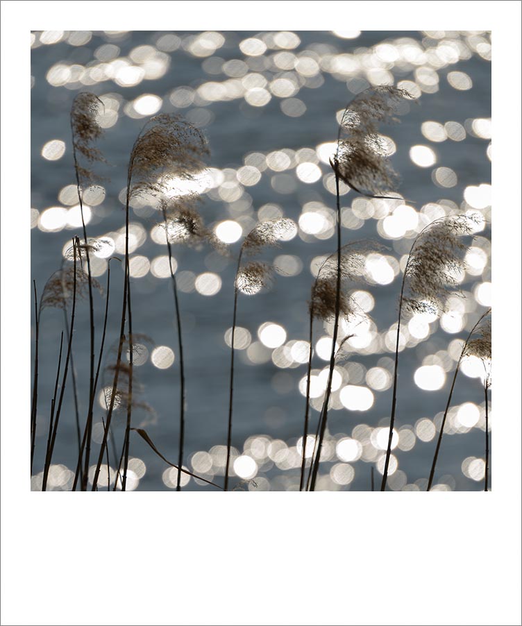 Polaroid Lago di Endine