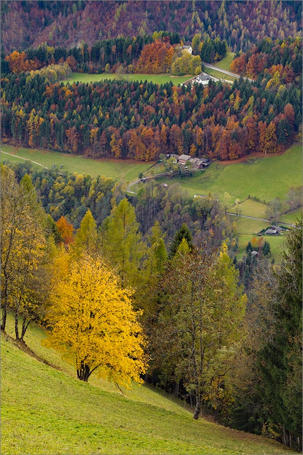 Bueggio in autunno